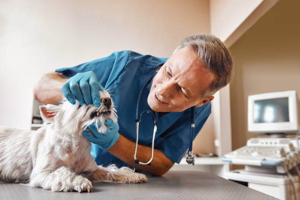 Best Emergency Tooth Extraction in Avenel, NJ