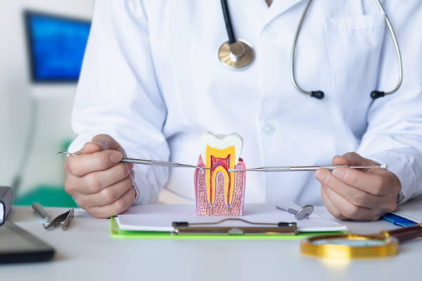 Best Emergency Gum Treatment in Avenel, NJ
